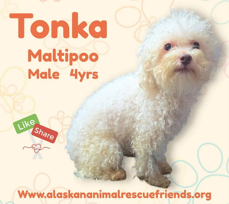 Tonka