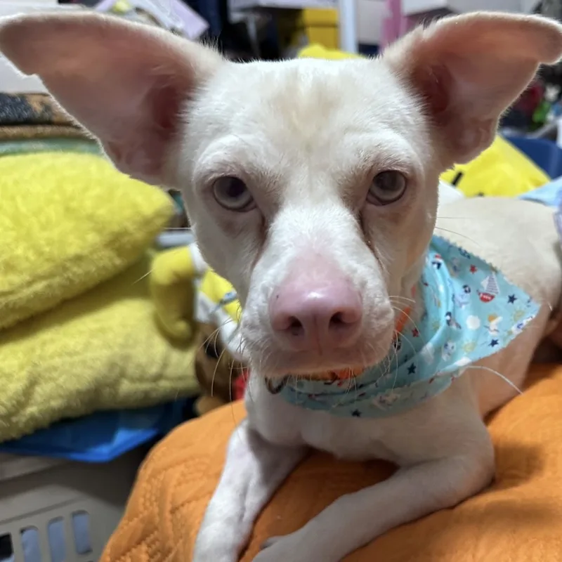 Lorray "your One And thumbnail 4