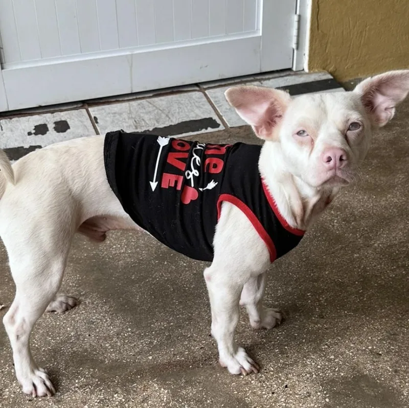 Lorray "your One And thumbnail 5