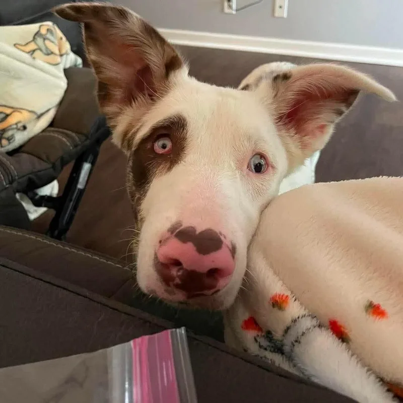 Maggie thumbnail 3