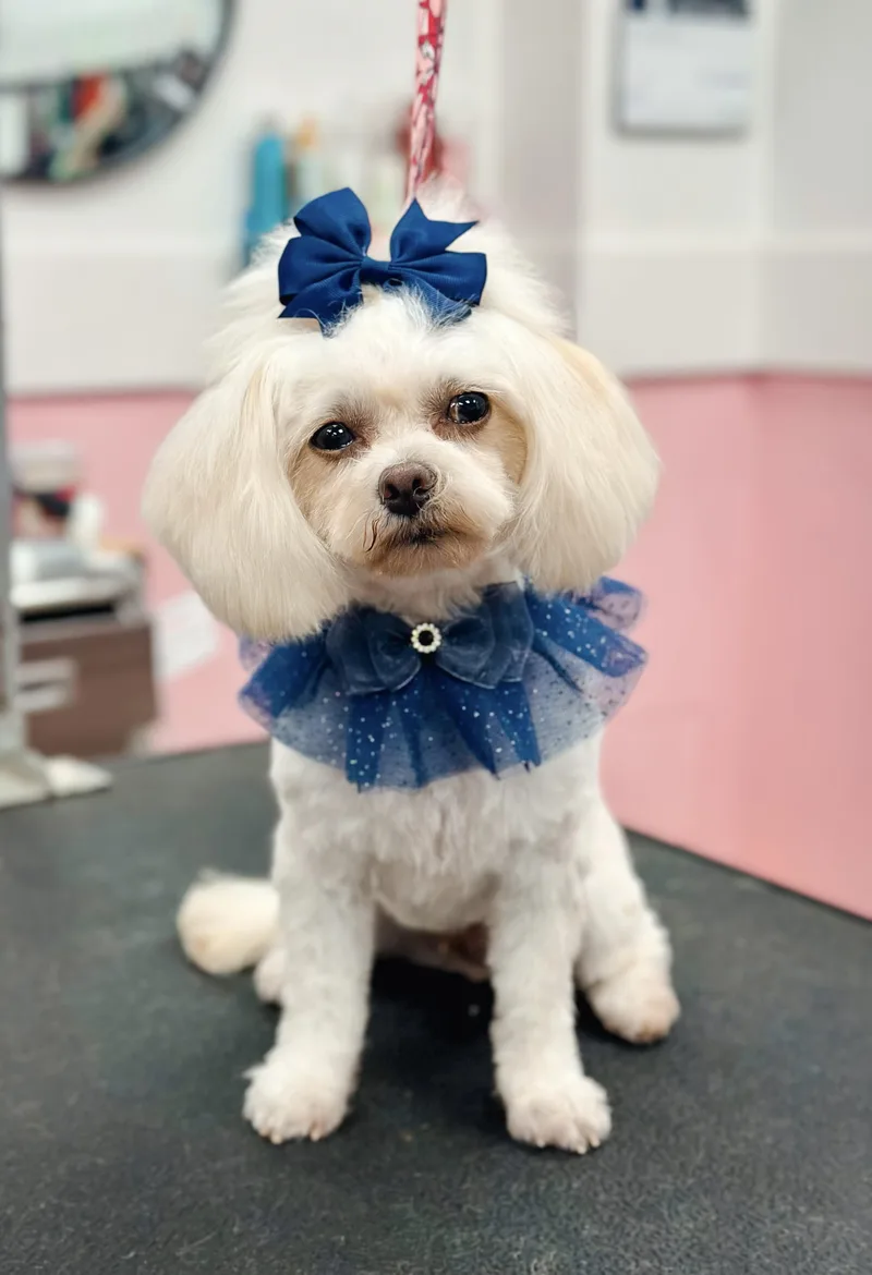 Kiki