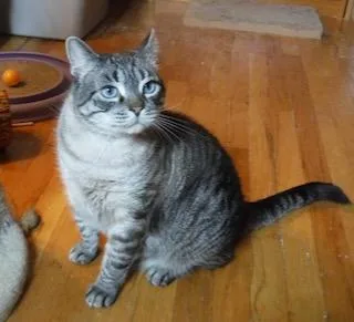 Sirichai thumbnail 3