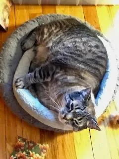 Sirichai thumbnail 5