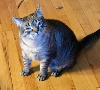 Sirichai thumbnail 6