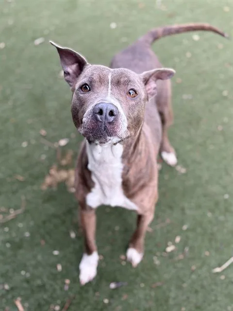 Willie Mae thumbnail 2