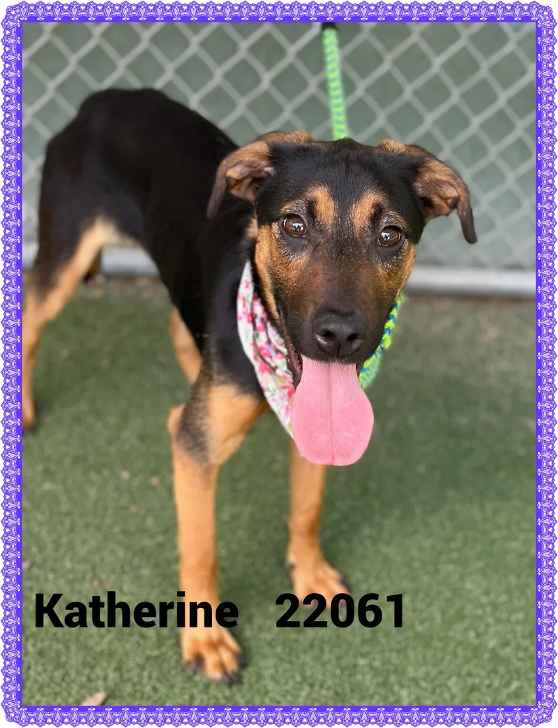 Katherine thumbnail 2