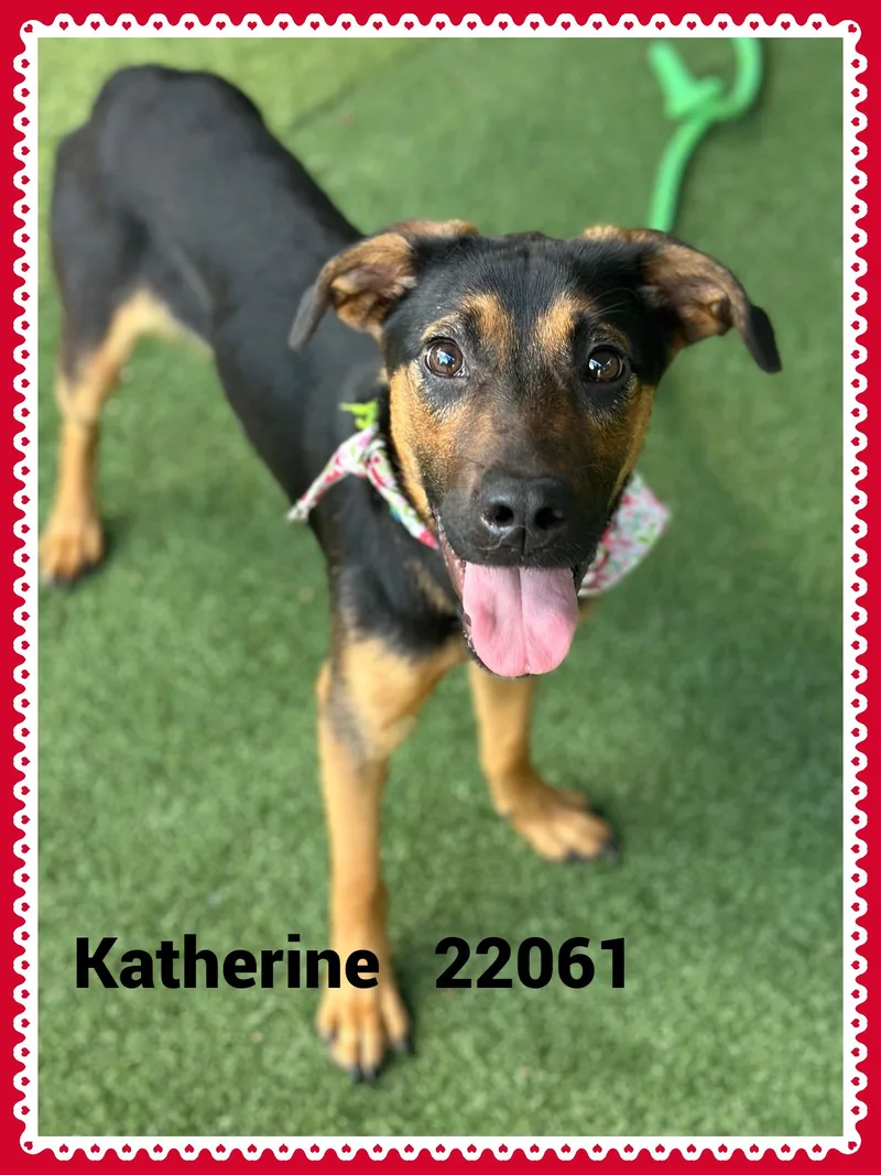 Katherine thumbnail 3