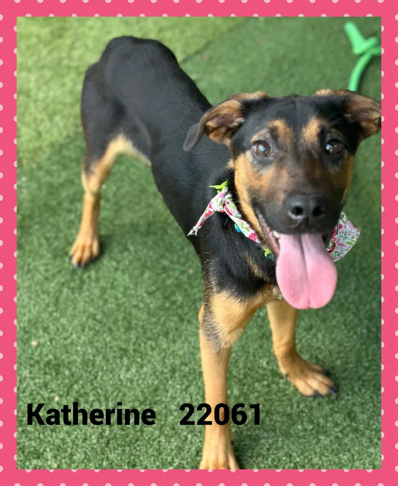 Katherine thumbnail 4