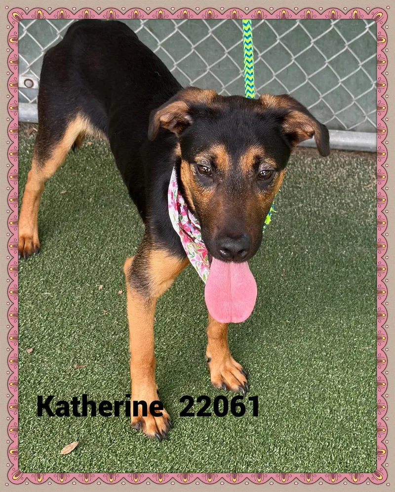 Katherine thumbnail 5