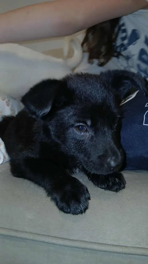 Maleficent thumbnail 2