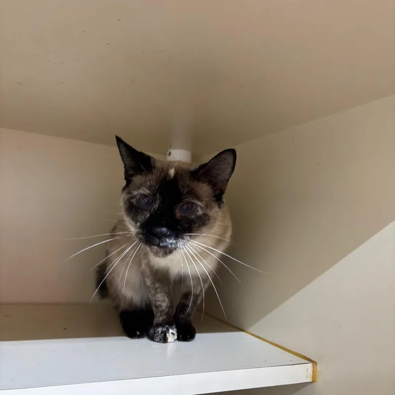 Katitude thumbnail 2