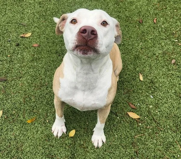 Mama Blythe thumbnail 2