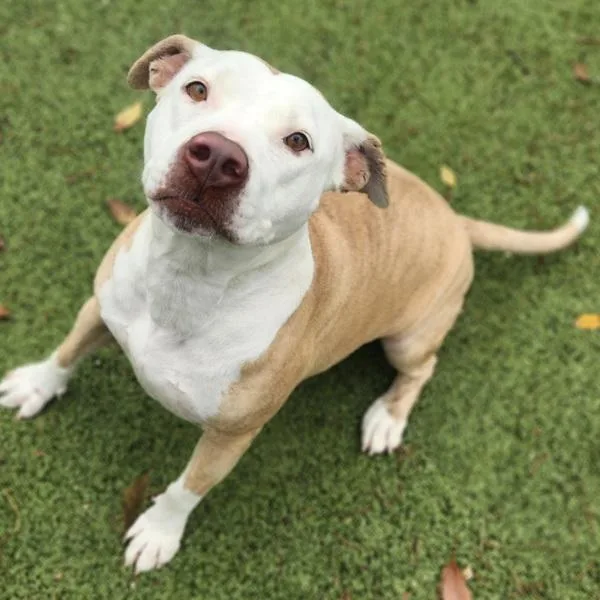 Mama Blythe thumbnail 3