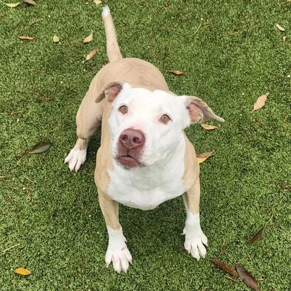 Mama Blythe thumbnail 4