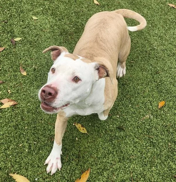 Mama Blythe thumbnail 5