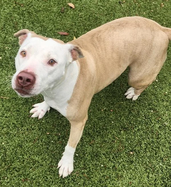 Mama Blythe thumbnail 6