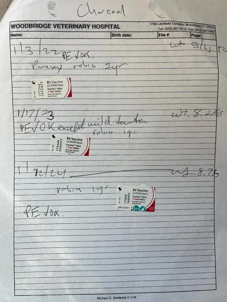 Charcoal thumbnail 5