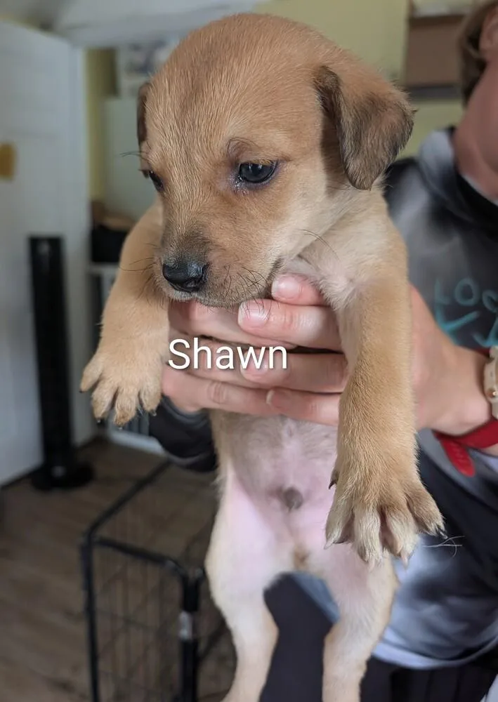 Shawn  Selina thumbnail 2