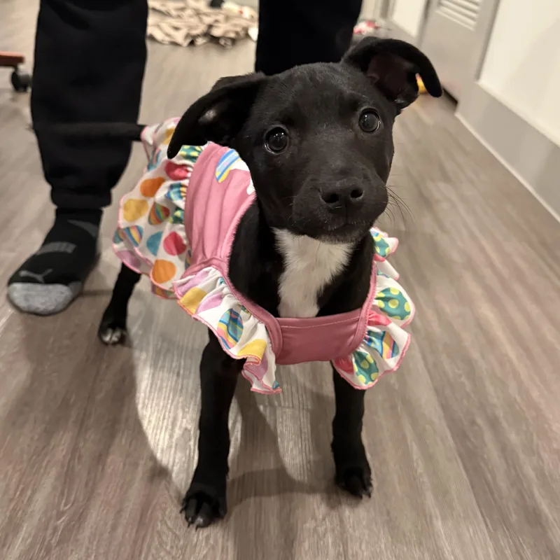 Little Debbie  Rub thumbnail 2