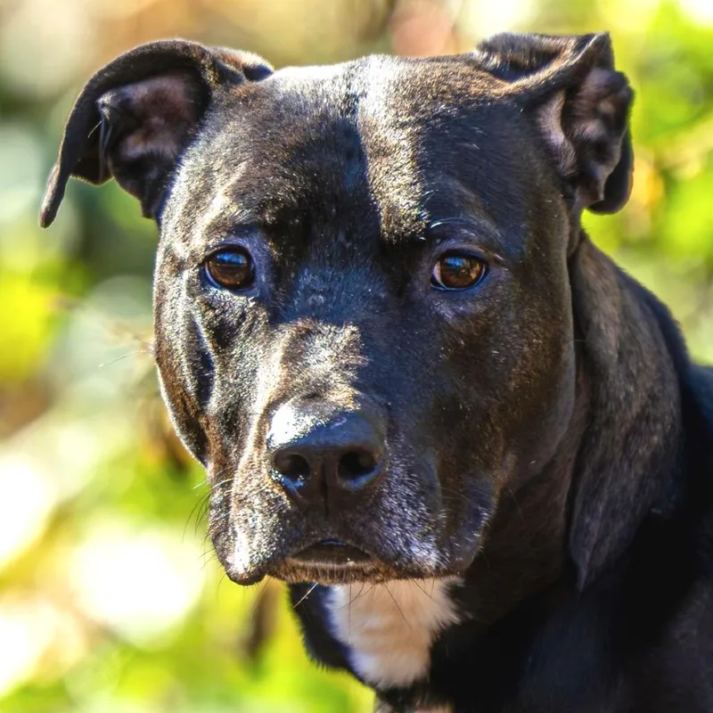 Spirit Fingers thumbnail 2