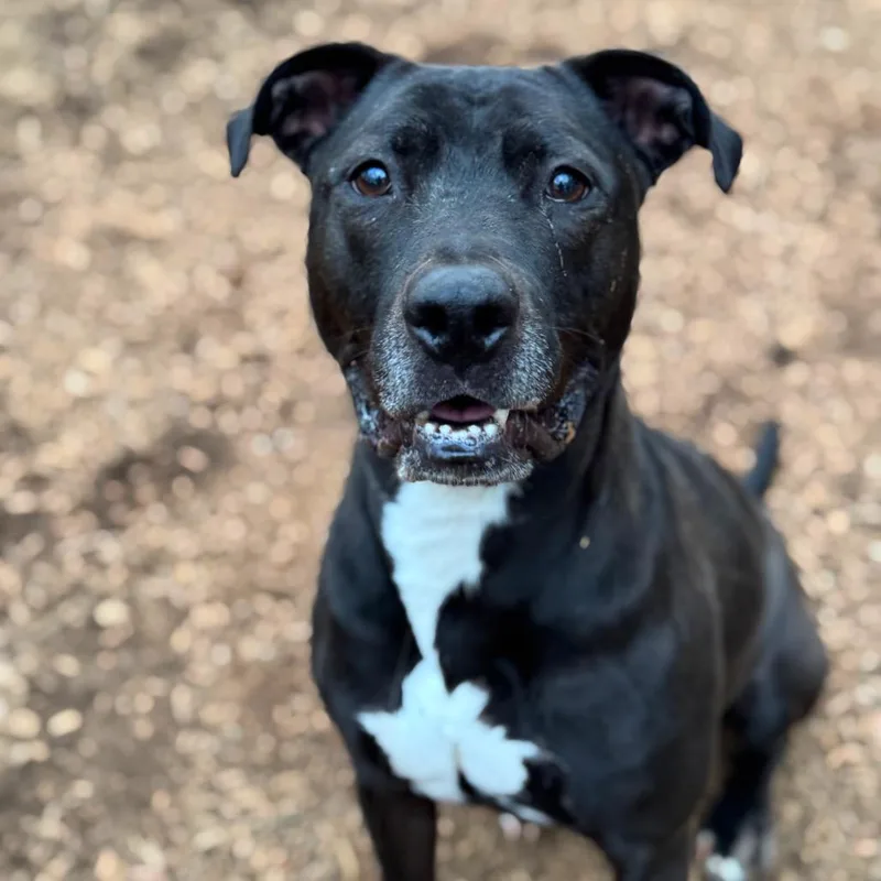 Spirit Fingers thumbnail 3