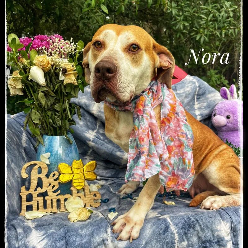 Nora thumbnail 2