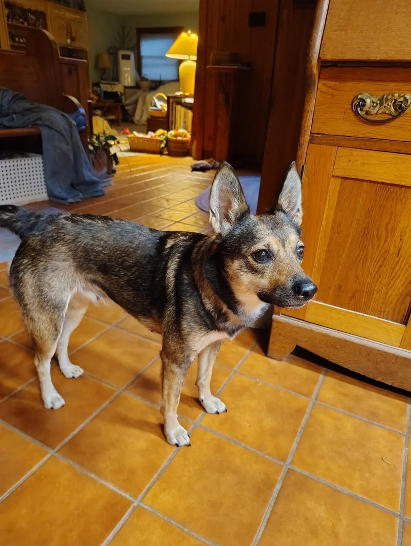 DeeDee