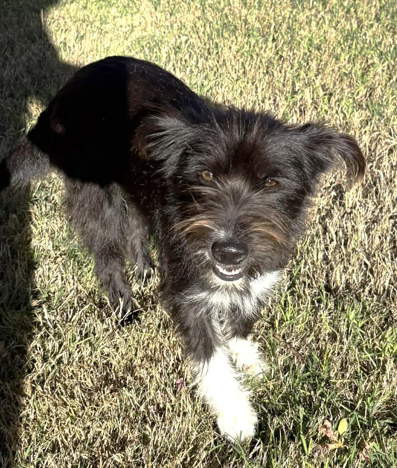 Josey Tx thumbnail 2