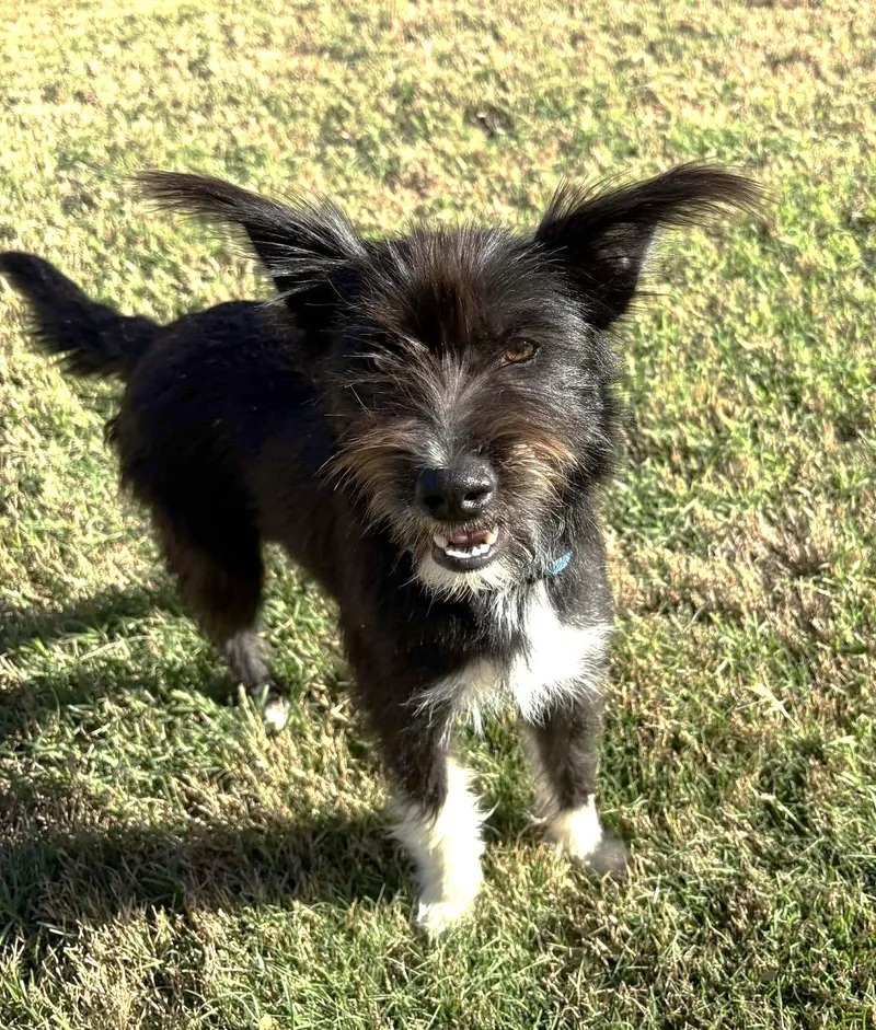 Josey Tx thumbnail 3