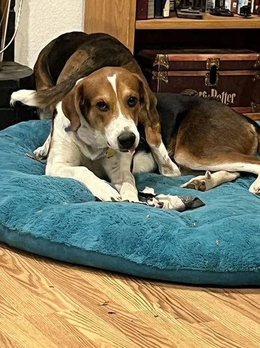 Minnie Mouse thumbnail 4