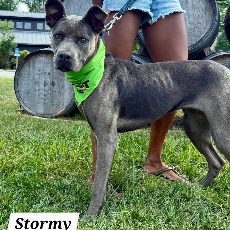 Stormy