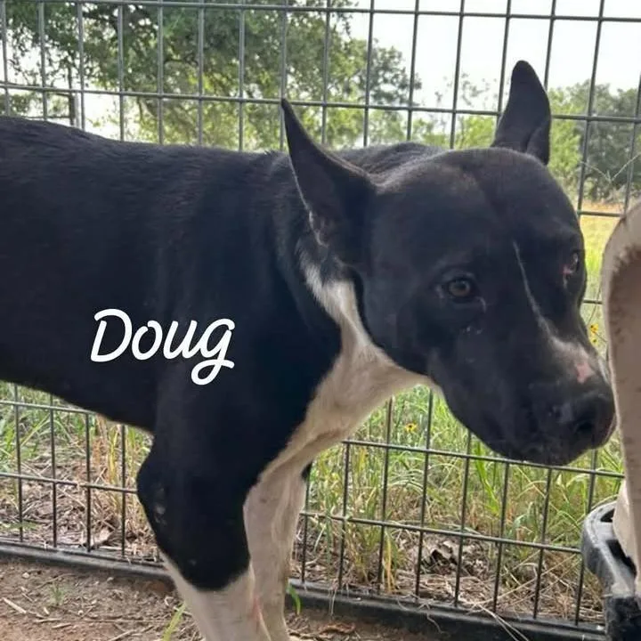 Doug