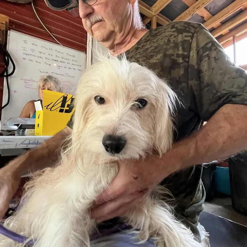 Falcor
