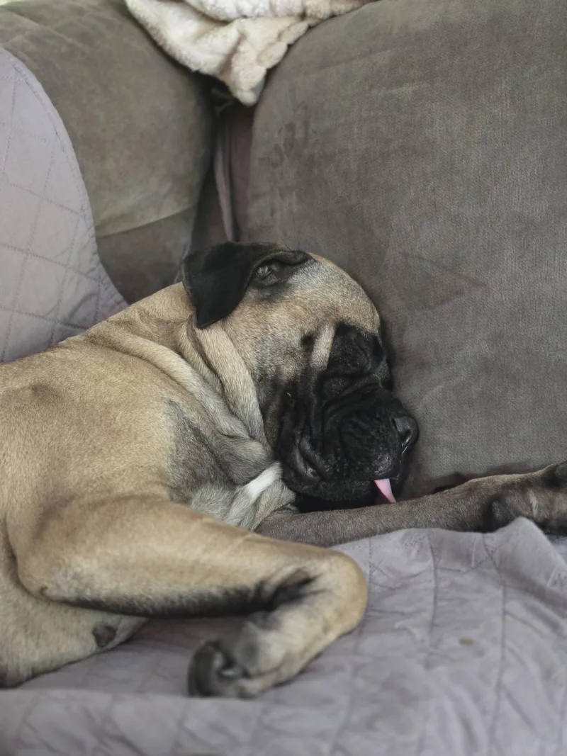 Cooper & Gracie  thumbnail 2