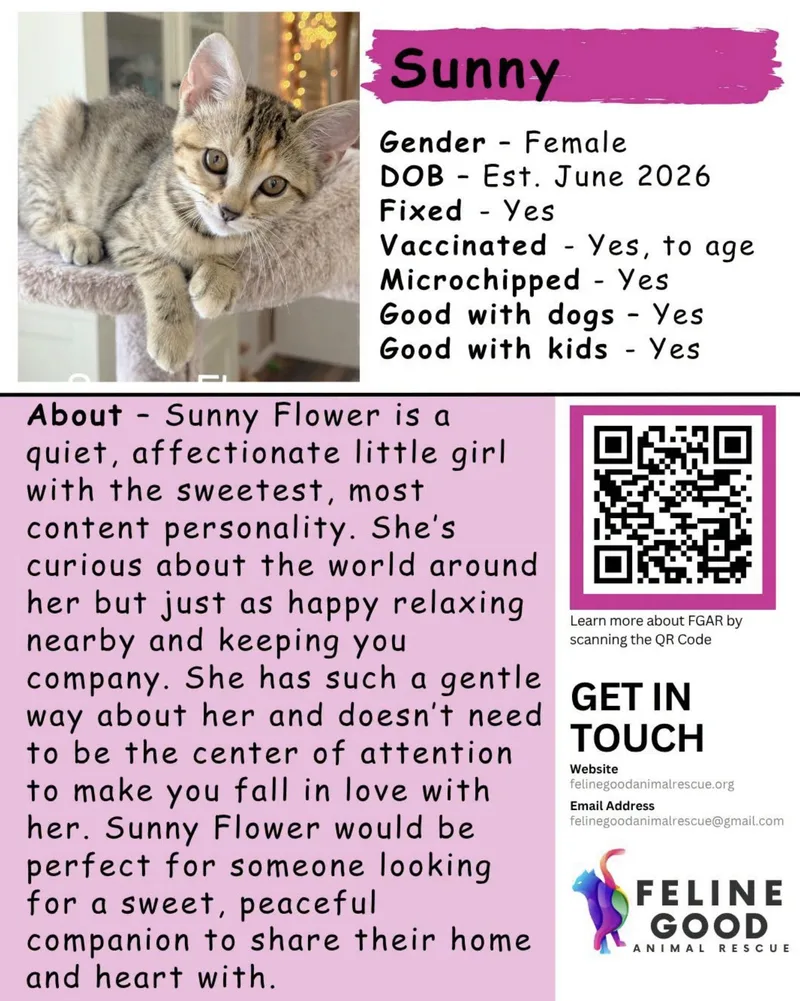 Sunny Flower thumbnail 2