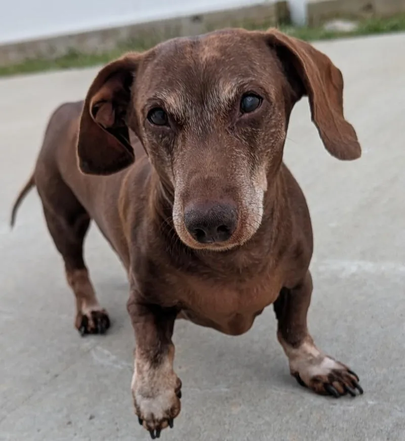 Cooper in TN thumbnail 2