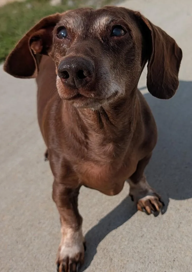 Cooper in TN thumbnail 6