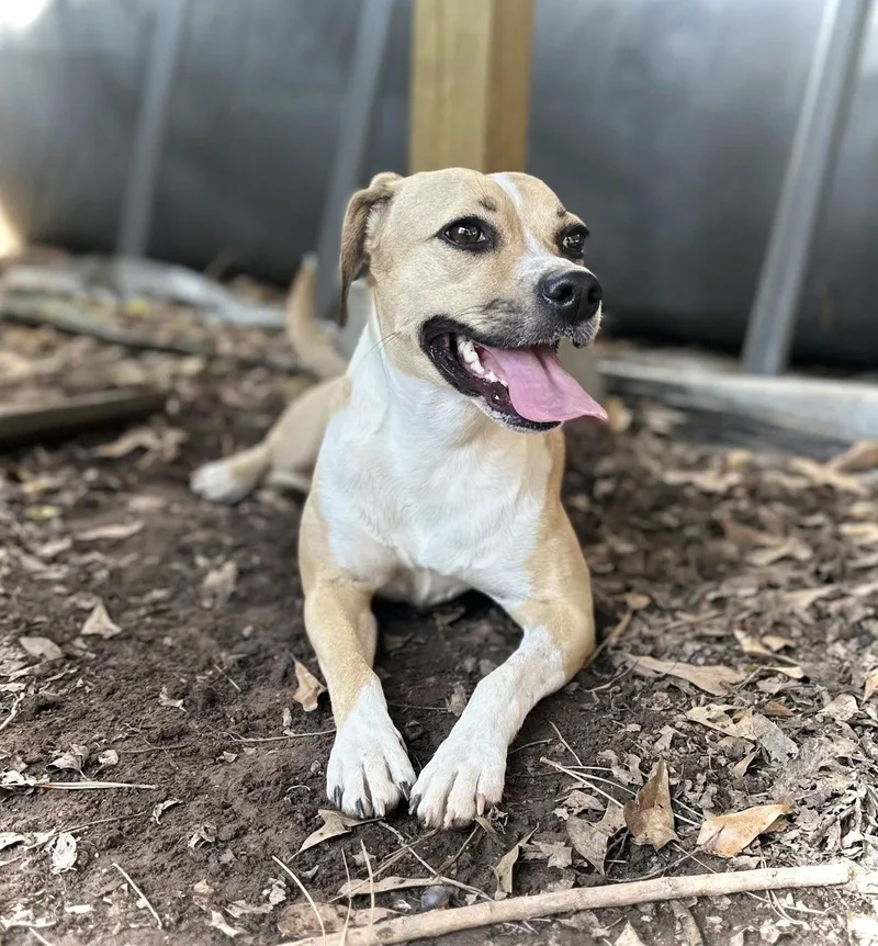 Lady Bird thumbnail 3