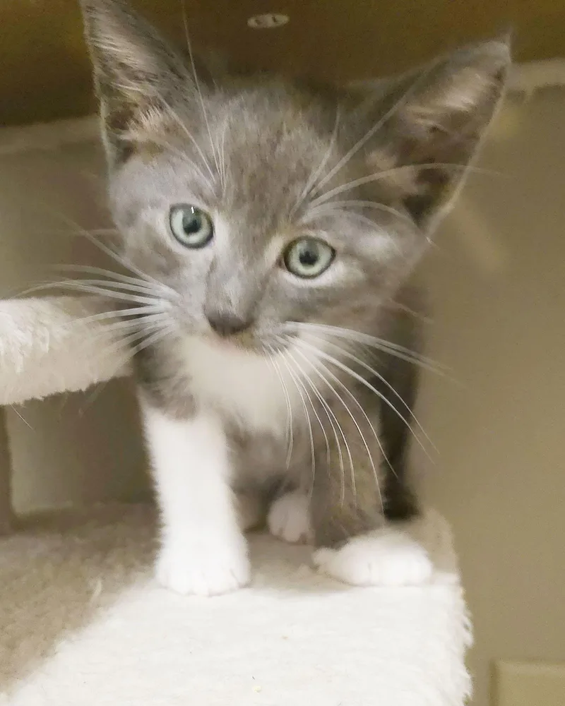 Winston & Bobby thumbnail 2