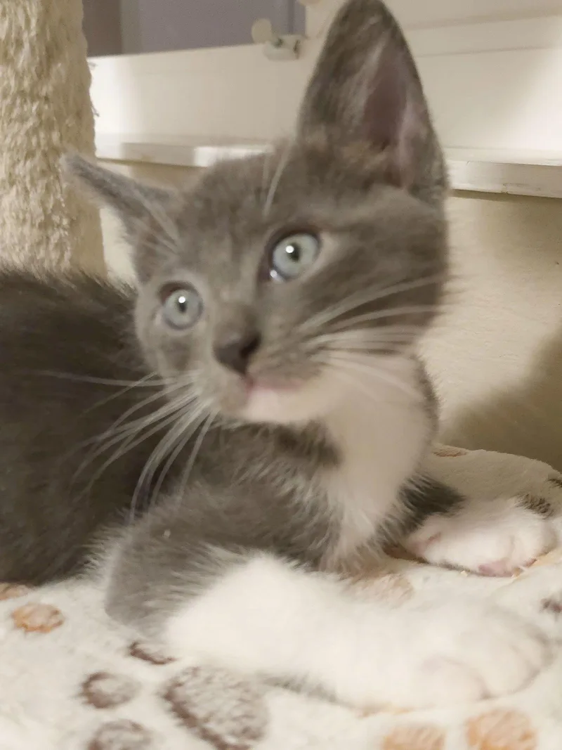 Winston & Bobby thumbnail 3