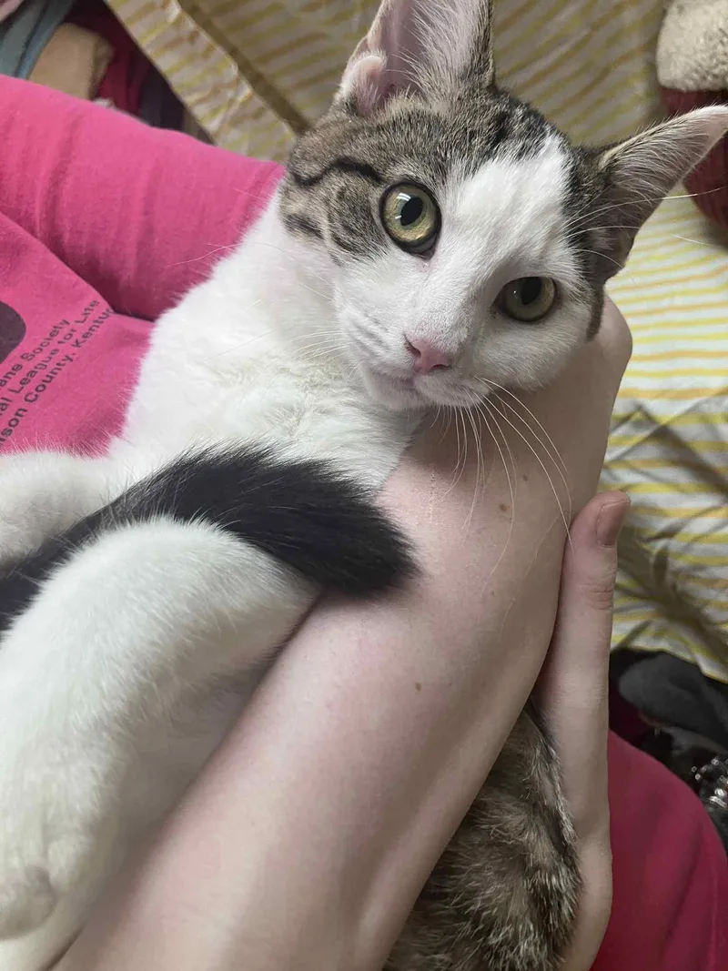 Mercedes thumbnail 3