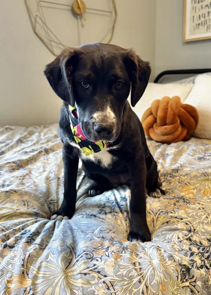 Mari Johnson thumbnail 2