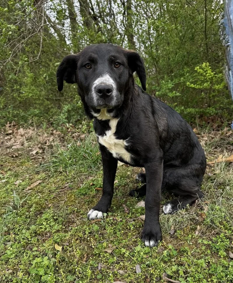 Mari Johnson thumbnail 3