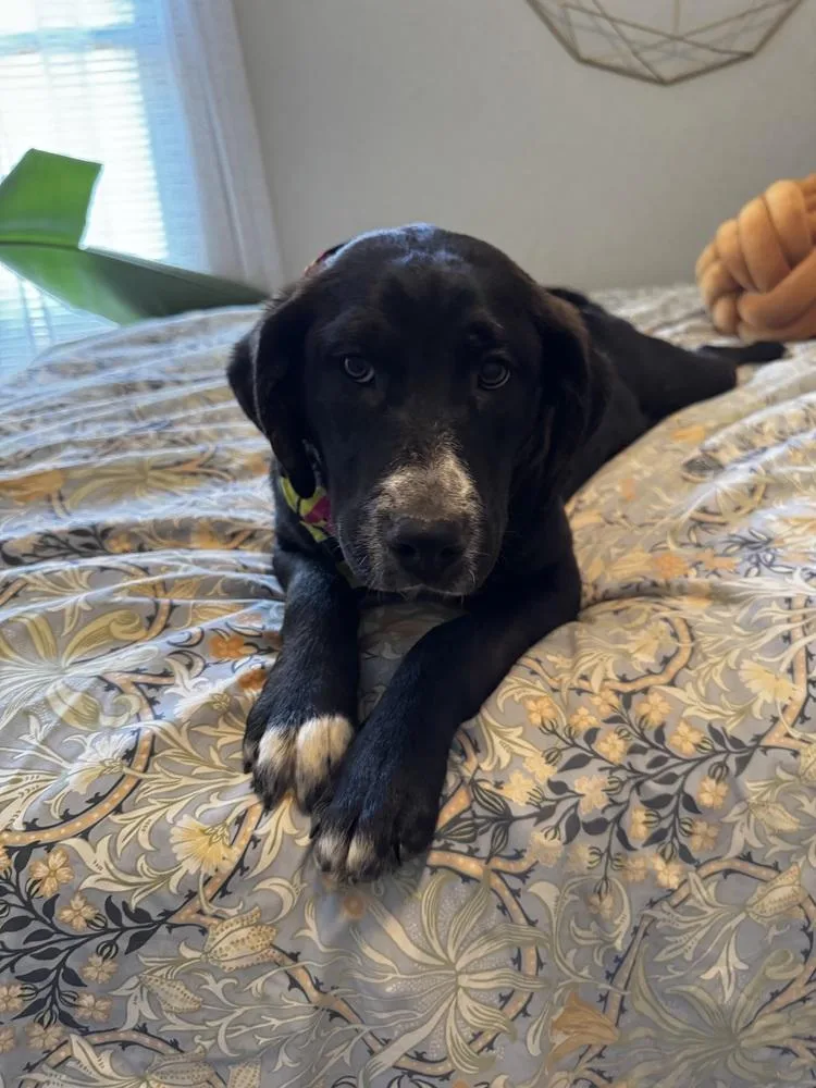 Mari Johnson thumbnail 4