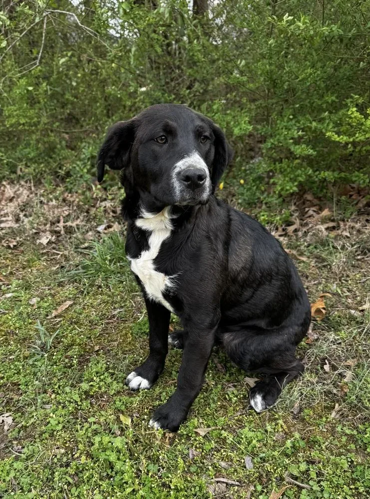 Mari Johnson thumbnail 5