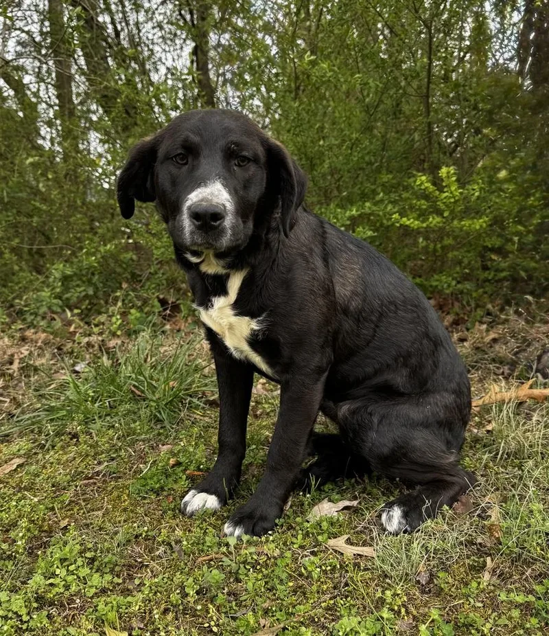 Mari Johnson thumbnail 6