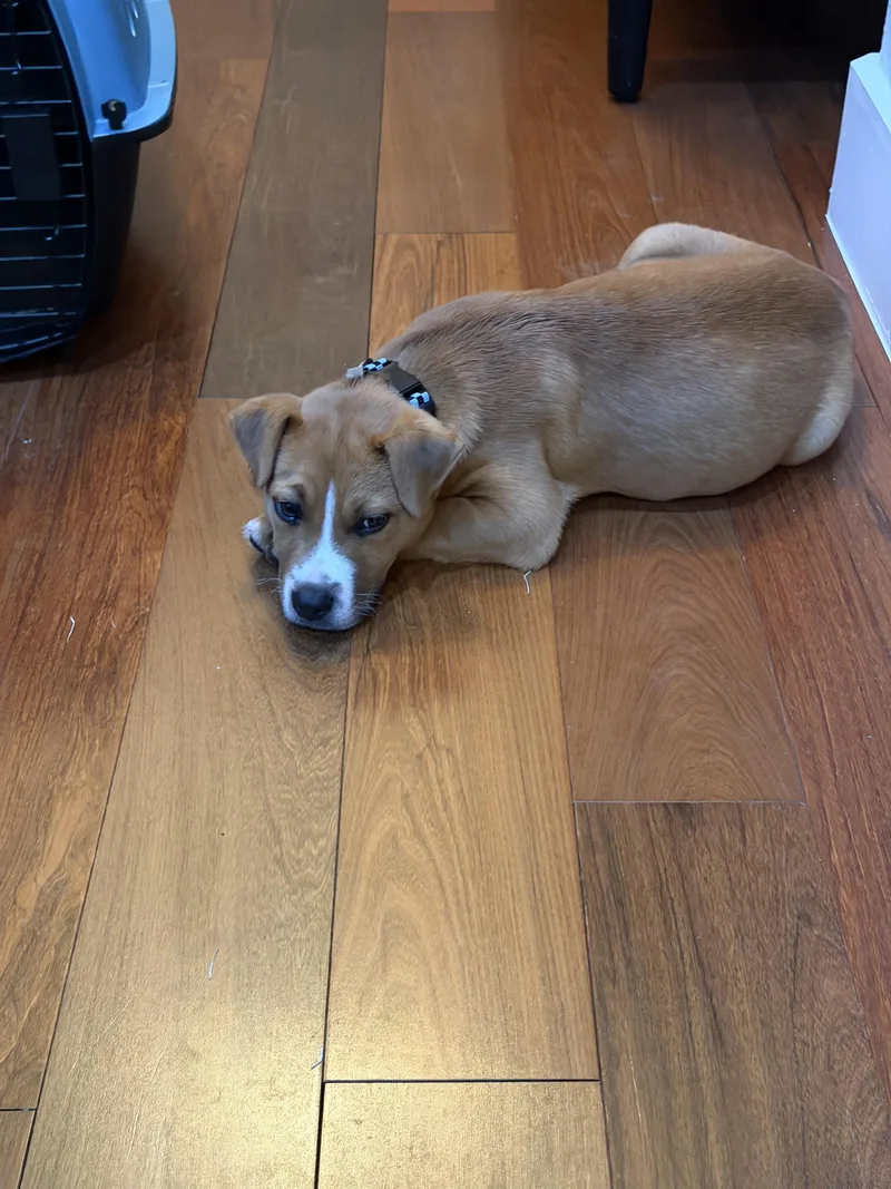 Gary Gdp thumbnail 2