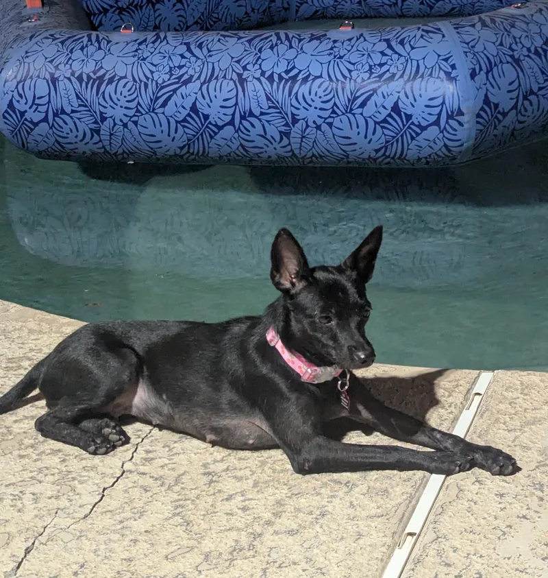 Betty thumbnail 5