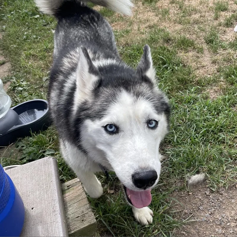 Nakita