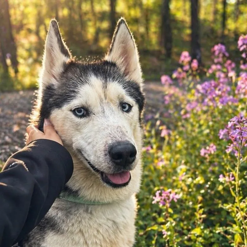 Nakita thumbnail 4